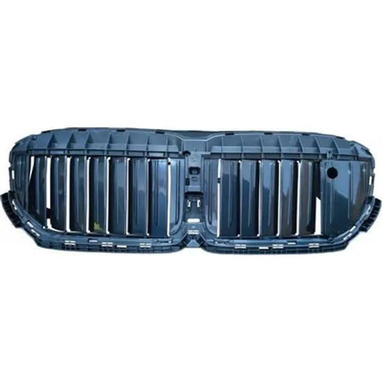Suport grila BMW 7 G11 2015-> Difuzor grila cu motor (cu bandou negru) (cu NIGHT VISION) Perioada 2019 2020 2021 2022