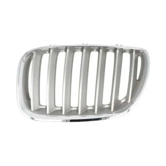 Grila Radiator BMW X5 E53 2000->2006 Grila radiator stanga, crom titan (E53 05.00-12.03) Perioada 2000 2001 2002 2003 2004