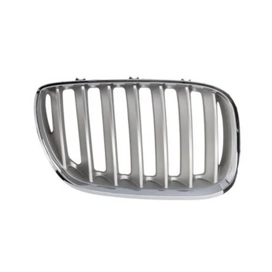 Grila Radiator BMW X5 E53 2000->2006 Grila radiator dreapta,crom titan (E53 05.00-12.03) Perioada 2000 2001 2002 2003 2004
